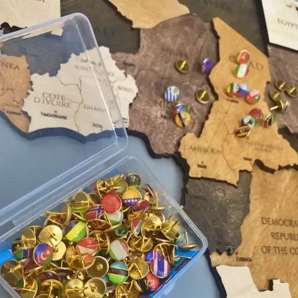 Set de pioneze cu steagurile