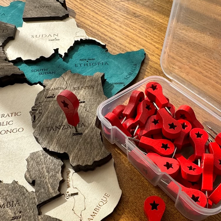 Set de pioneze pentru marcarea